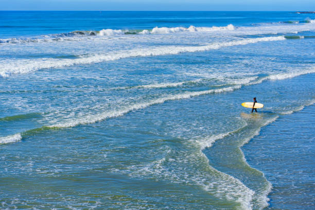 Oceanside, California - December 26, 2024: Surfer standing in shallow waters, ready to paddle into the bigger waves. Clear skies and gentle swell create a quintessential surfing environment.