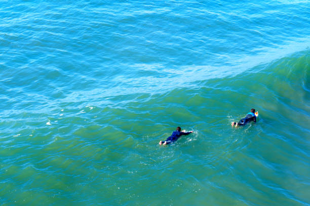 Young man patiently poised on his surfboard, awaiting the perfect wave.