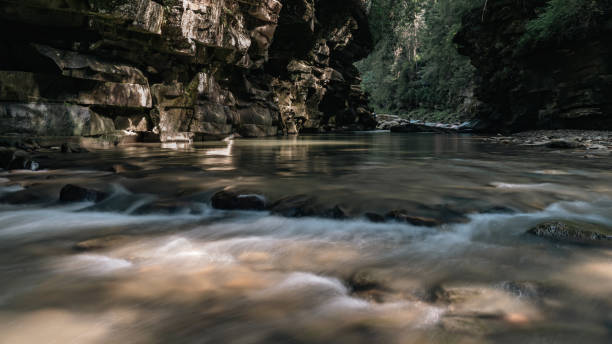 This image captures a fast-flowing river rushing over a rocky bed, creating whitewater rapids. The power of the water contrasts with the immovable rocks.