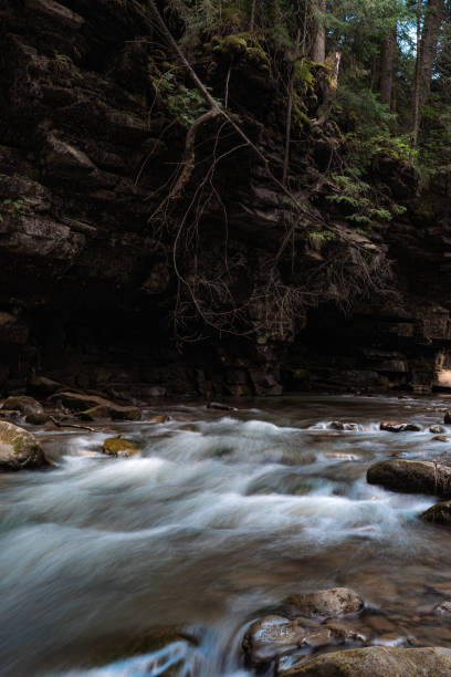 istock This image captures a fast-flowing river rushing over a rocky bed, creating whitewater rapids. 2202704771