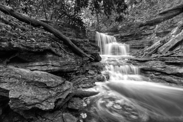 istock Forest Falls Bonaparte, IA 2202705904