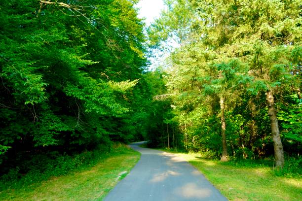 istock The Road Less Traveled 2202707167