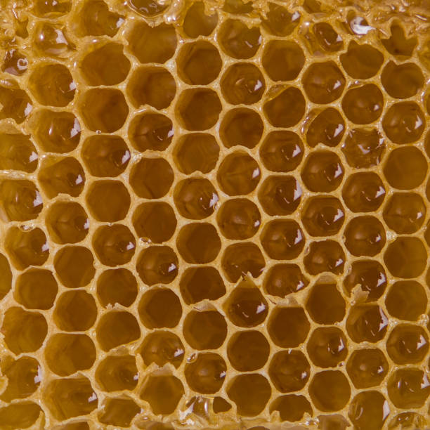 istock Honeycomb with honey as a background. Close-up. 2202707714
