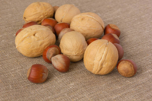 Hazelnuts and walnuts on a table on a natural canvas