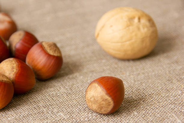A close-up photograph captures a single walnut resting on the ground, surrounded by vibrant green grass and small clover leaves. The image showcases natural textures and organic details, creating a rustic and peaceful atmosphere.