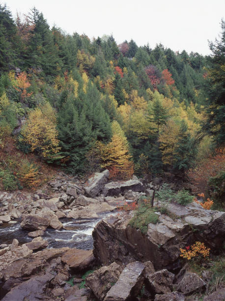 istock Blackwater River in West Virginia 2202714682