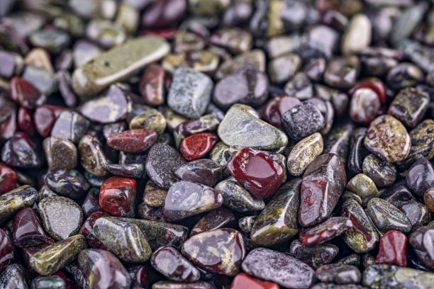 istock blood dragon Jasper 2202719052