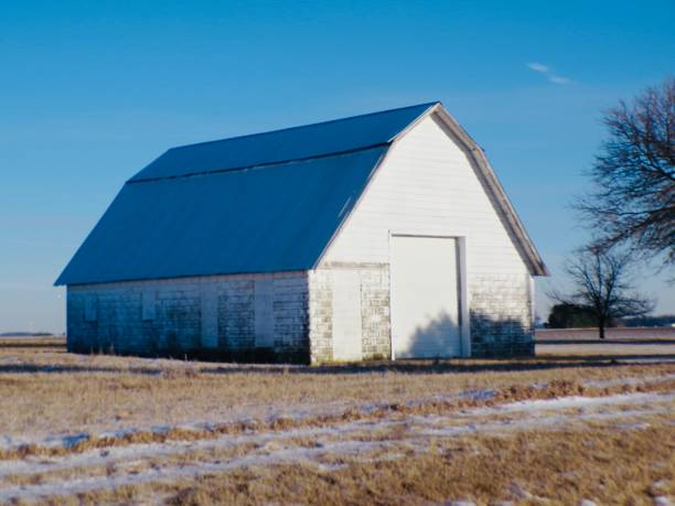 istock White barn in field on sunny day. 2202720516