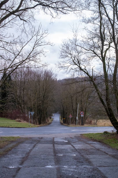 A deserted rural road stretches into the distance, framed by bare trees under an overcast sky in early spring. The quiet atmosphere enhances the sense of solitude and calm.