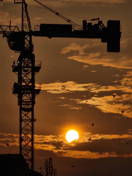 Experience the visual impact of a construction crane silhouetted against a stunning sunrise, creating a cinematic and evocative scene.