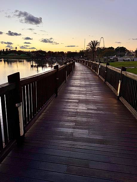 A picturesque wooden boardwalk leading into the distance at sunset, with warm reflections on the water and an illuminated cityscape in the background.