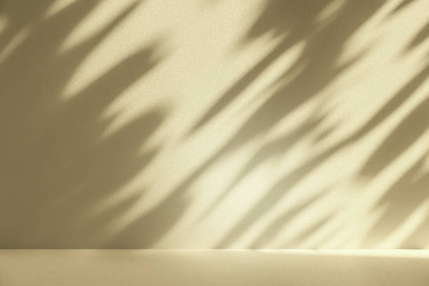 istock Studio style background wall decoration presentation uses white and beige tones. with shadows cast from a nearby window, concept creating a decorative 2202753836