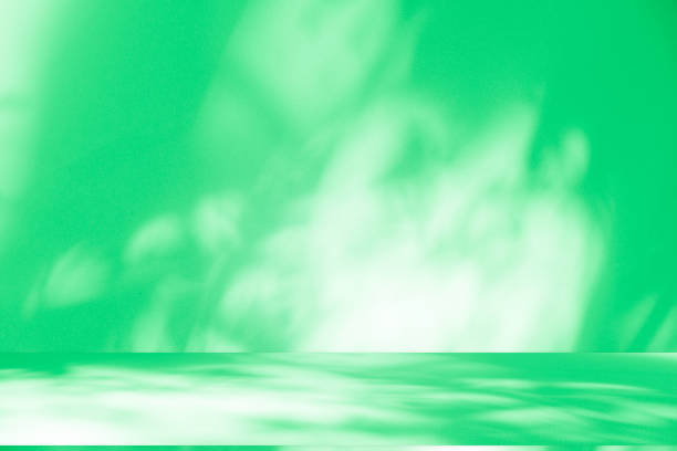 istock Studio style background wall decoration presentation uses white and green tones. with shadows cast from a nearby window, concept creating a decorative 2202753855