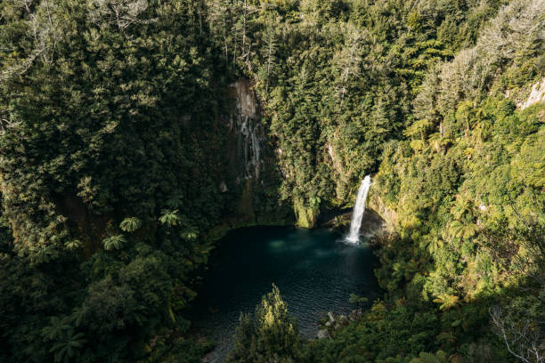A hidden waterfall cascades down rugged cliffs into a deep, dark pool surrounded by dense green forest.