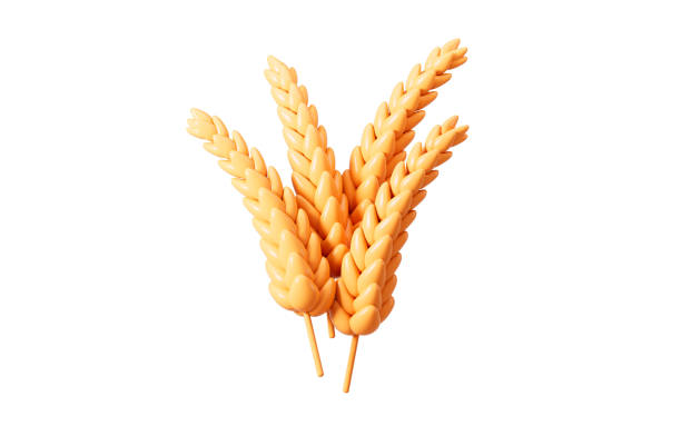 istock Golden wheat isolated in the white background, 3d rendering. 2202755687