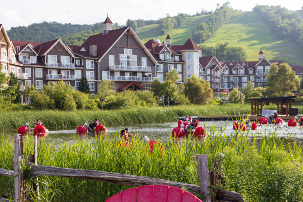 A vibrant collection of brightly colored pedal boats and kayaks are neatly docked together at a marina. The boats' glossy surfaces reflect the sunlight, creating a lively and eye-catching scene.