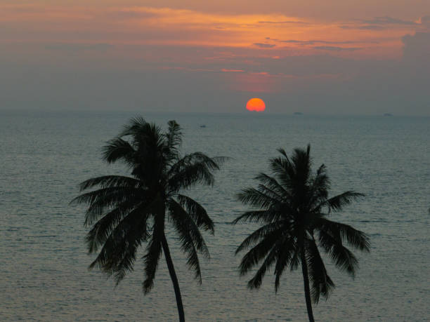 Bright orange sun setting over the ocean with tropical palms creating a serene island view. Ko Pha Ngan, Thailand.