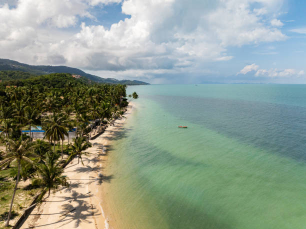 istock Beach with palm trees and turquoise waters. Koh Samui, Thailand. 2202757764