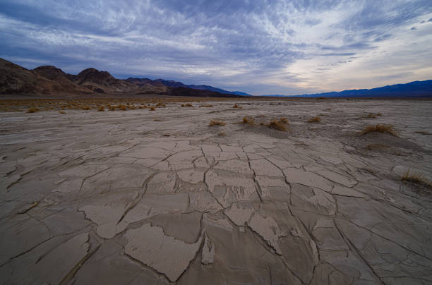 Background image of dry and cracked land