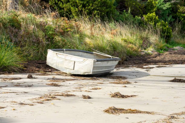istock Tinnie or rowboat above tideline on the beach 2202758234
