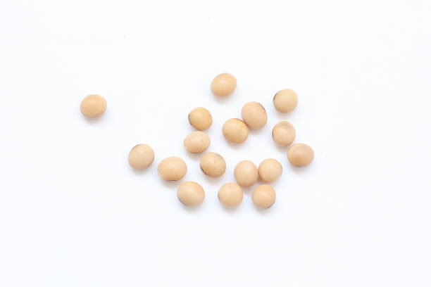 Detail of a surface covered with uncooked dry soybeans