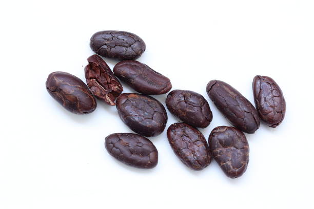 Roasted brown cocoa beans on white background