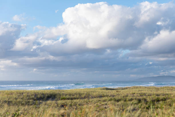 Beautiful beach landscape in Byron Bay on an early morning in Summer with dunes, cliffs, clouds and waves