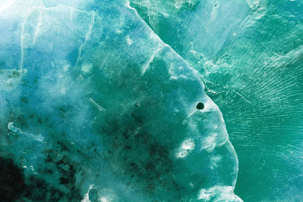 istock Natural pattern texture seashell, macro photo, beauty nature abstract background, top view vivid green blue surface of shell, clam closeup, oceanic, nautical, marine, aquatic life backdrop 2202771996