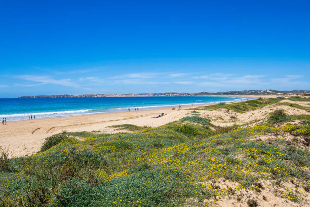 istock Praia da Torralta, sand beach in the Algarve (Portugal) 2202772629