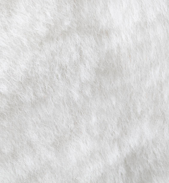 istock The image is a close up of a white fur texture 2202773395