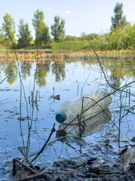 istock A bottle of water is floating in a pond 2202773814