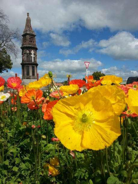 istock Government Gardens, Rotorua 2202775027