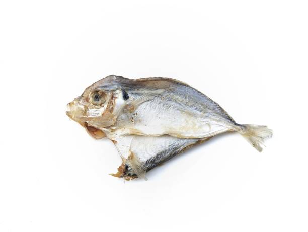 istock Dried salted fish isolated on white background 2202783532