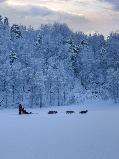 istock Dog sledding tour 2202787482