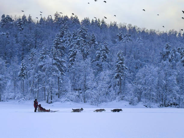 istock Dog sledding tour 2202787491