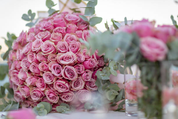 Pink Roses. stock photo