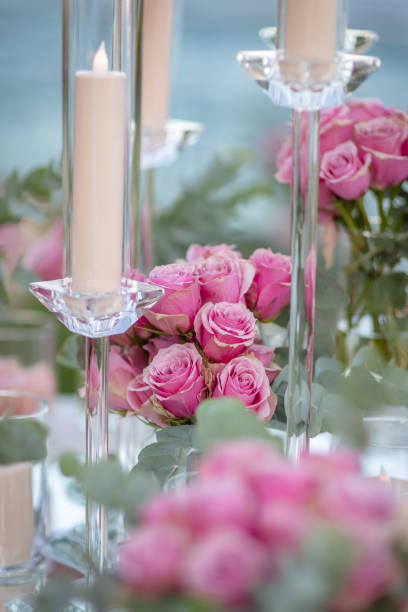 istock Pink Roses. stock photo 2202791257
