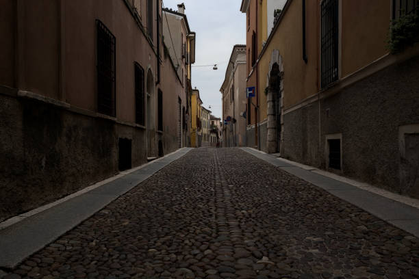 istock Cobbled street and a gate 2202791830