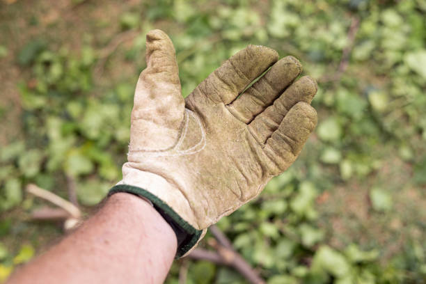 Gloves in the grass
