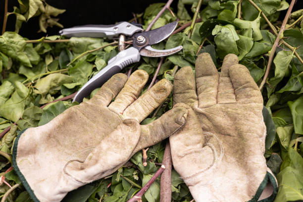 A pair of old leather gardening gloves and pruning shears or secateurs sitting on cut sticks in a solo bin. Gardening Concept, Dirty leather gardening gloves. Spring clean up in the garden.