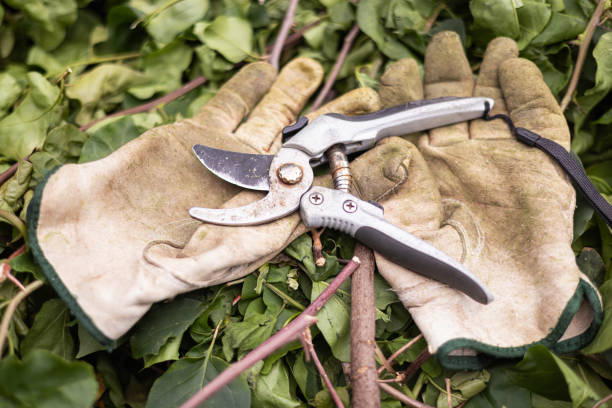 A pair of old leather gardening gloves and pruning shears or secateurs sitting on cut sticks in a solo bin. Gardening Concept, Dirty leather gardening gloves. Spring clean up in the garden.