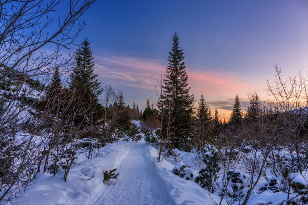 istock Sunrise inTatra Mountains at snowy winter. Poland 2202807039