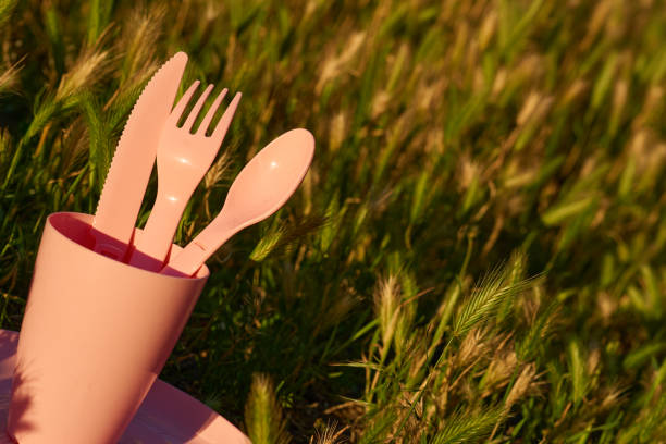 istock Camping sunset,picnic.Pink plastic dinnerware set.Cup,plate,fork,knife,spoon 2202808769
