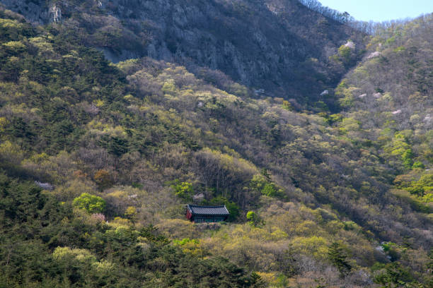 istock small Buddhist temple building on the mountain 2202808983