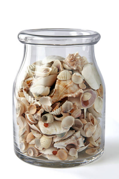 istock glass decorative jar with different shells and pebbles isolated on white background 2202810983