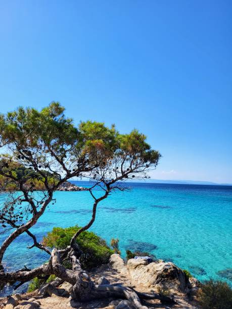 istock View of blue ocean 2202814987