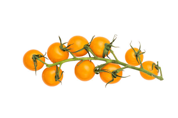 istock Fresh small yellow cherry tomatoes assortment, mini organic cocktail tomate mix isolated on white background. top view 2202817681