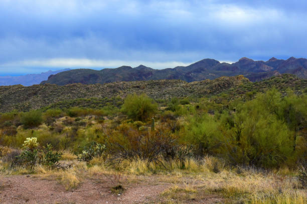 istock Salt River Recreation Area Arizona 2202817797