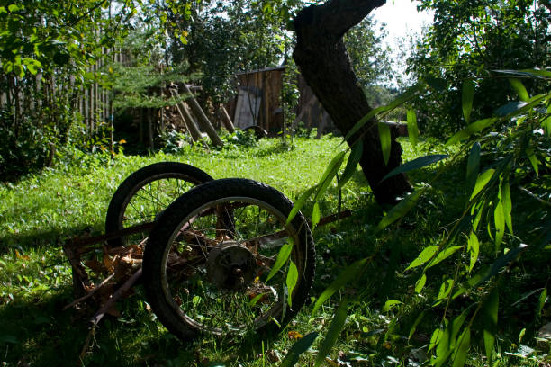 An old handcart sits in a rural garden, surrounded by greenery and dappled sunlight.