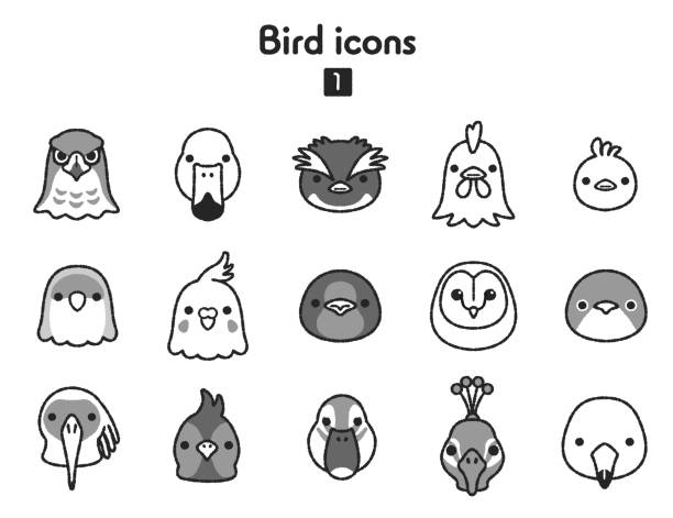 70+ Nipponia Nippon Stock Illustrations, Royalty-Free Vector